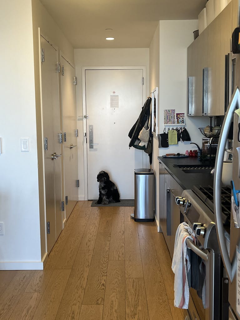 Lease Takeover Luxury 1B in Fort Greene Listings Project