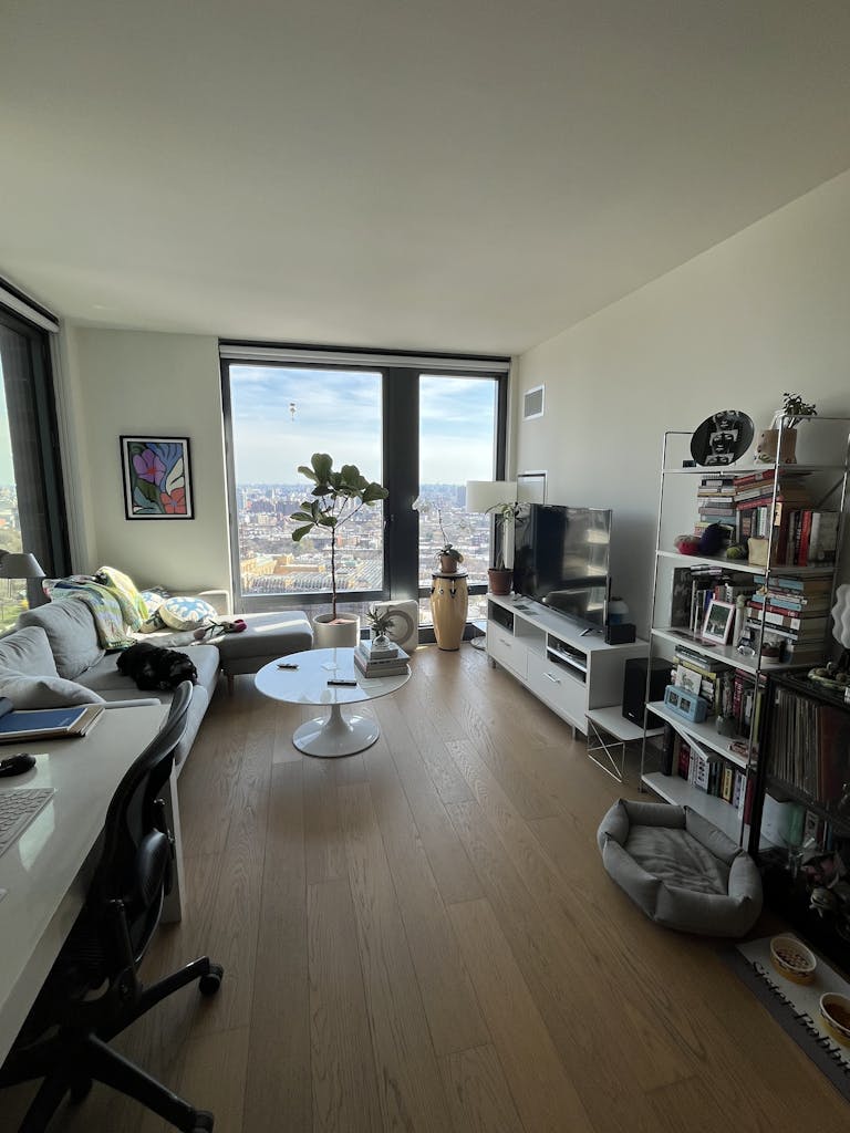 Lease Takeover Luxury 1B in Fort Greene Listings Project