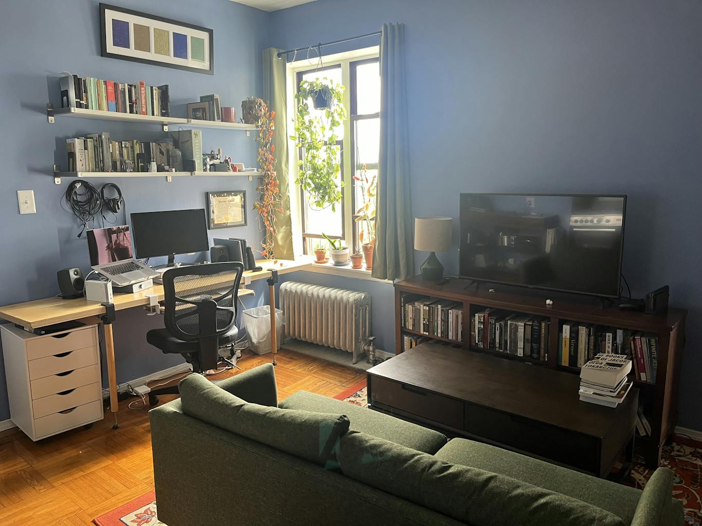 Cozy, WellAppointed Prospect Lefferts Gardens Apartment for LongTerm