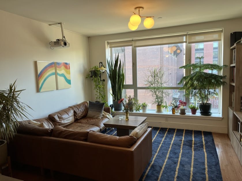 Spacious and wellfurnished Williamsburg duplex with private roof deck